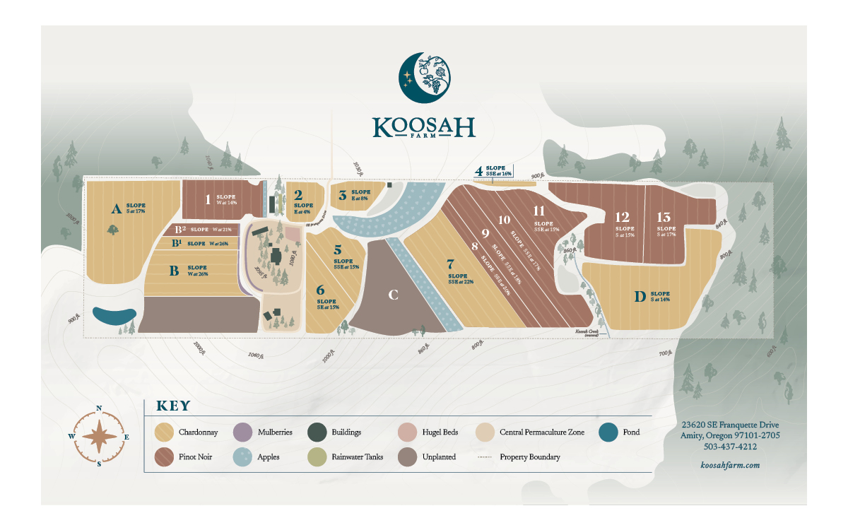 MM – Koosah Farm Vineyard Map